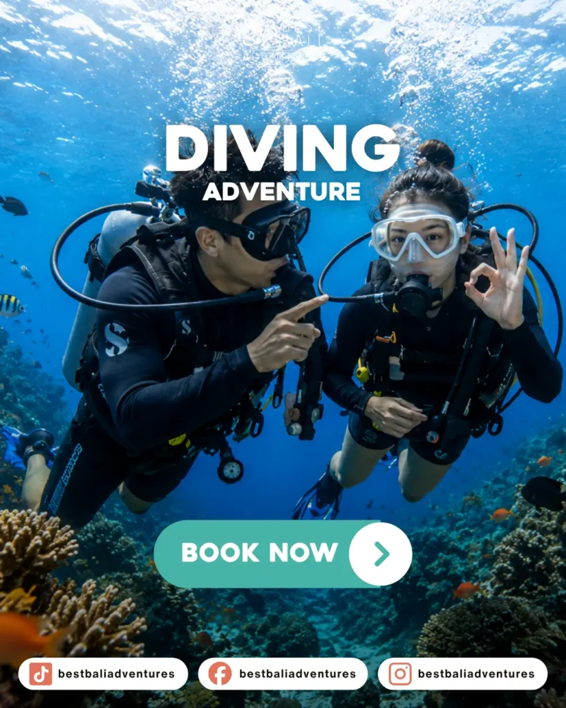 Diving Bali booking