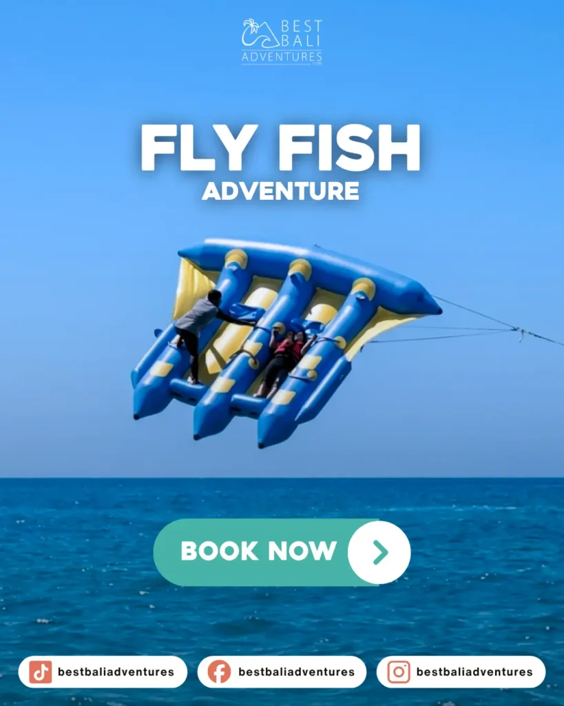 FLY FISH Bali