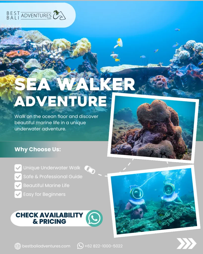 Sea Walker Bali booking