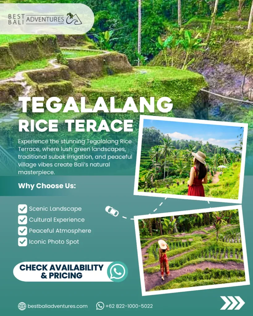 Book Bali Nature Activities Tegalalang Rice Terrace Nature Activities