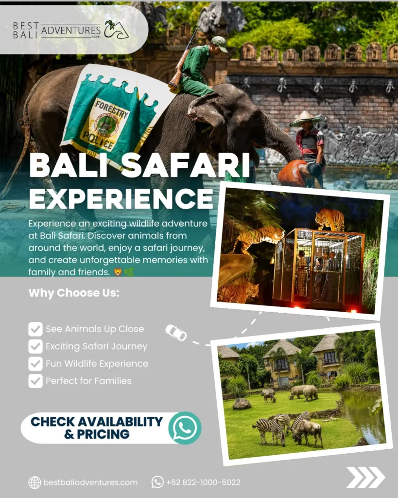 Book Bali Family Activities Bali Safari Park